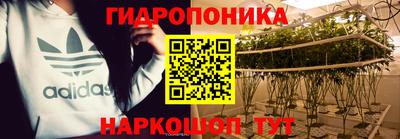 индика Гусиноозёрск