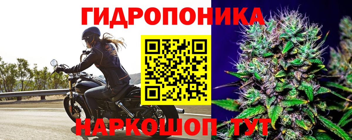 Орёл  Каннабис марихуана  Вход с VPN  Канабис Ganja 